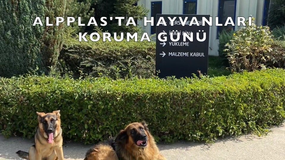 Alpplas Endüstriyel Yatırımlar A.Ş.