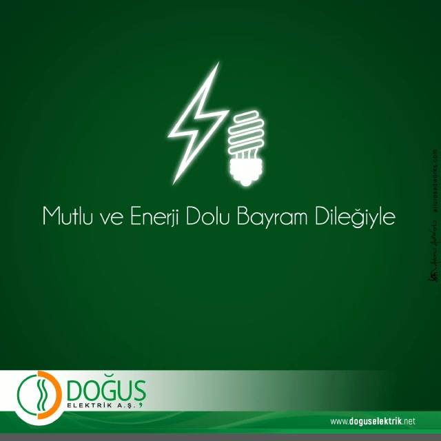 Doğuş Elektrik Sistemleri Sanayi Tic. A.Ş.