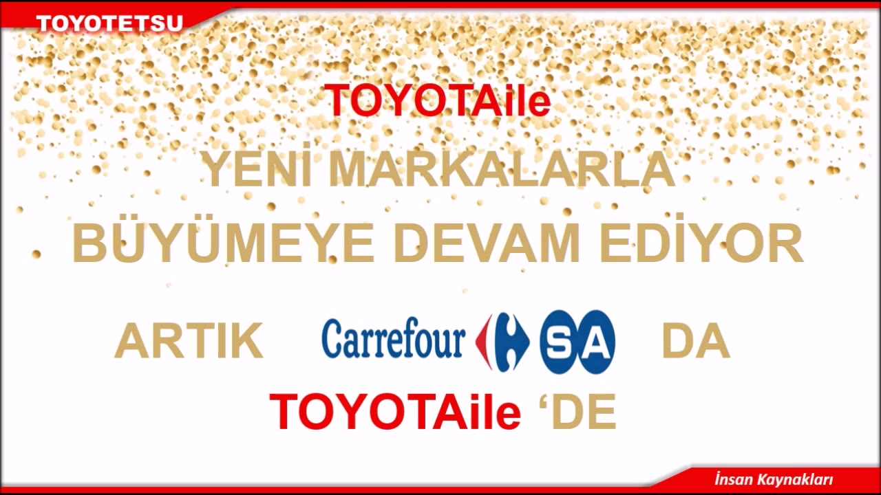 Toyotetsu Otomotiv Parç. Üretim ve Tic. A.Ş.